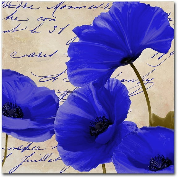 Trademark Fine Art "Coquelicots Bleues I" Canvas Art by Color Bakery