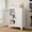 White, variant on Erosoei Small Metal White Office Storage Cabinet with Shelves and Lock,Steel File Cabinet