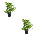 thumbnail image 4 of Wosthever Plantas falsas en macetas de tortuga, hojas artificiales de bajo mantenimiento para oficina en el hogar, amigable con la piel Type2 NO2, 4 of 6
