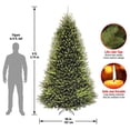 thumbnail image 4 of National Tree Company Dunhill Fir Arbre de Noël 9 Pieds Non Allumé avec Support, 4 of 7
