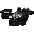 thumbnail image 1 of Waterco INFINIUM Eco V-150 Variable Speed Pool Pump 1.65 hp, 110/220V, 1 of 4