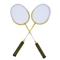 thumbnail image 1 of Professional Badminton Racket Set, 1 Pair Iron Alloy Badminton Racquet with 3 Shuttlecocks and Carrying Bag, 1 of 7