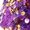 Purple, variant on Sxiwei Kids Girls 2 Piece Dance Outfits Set Metallic Crop Top with Skirt Modern Jazz Latin Ballroom Blue 14