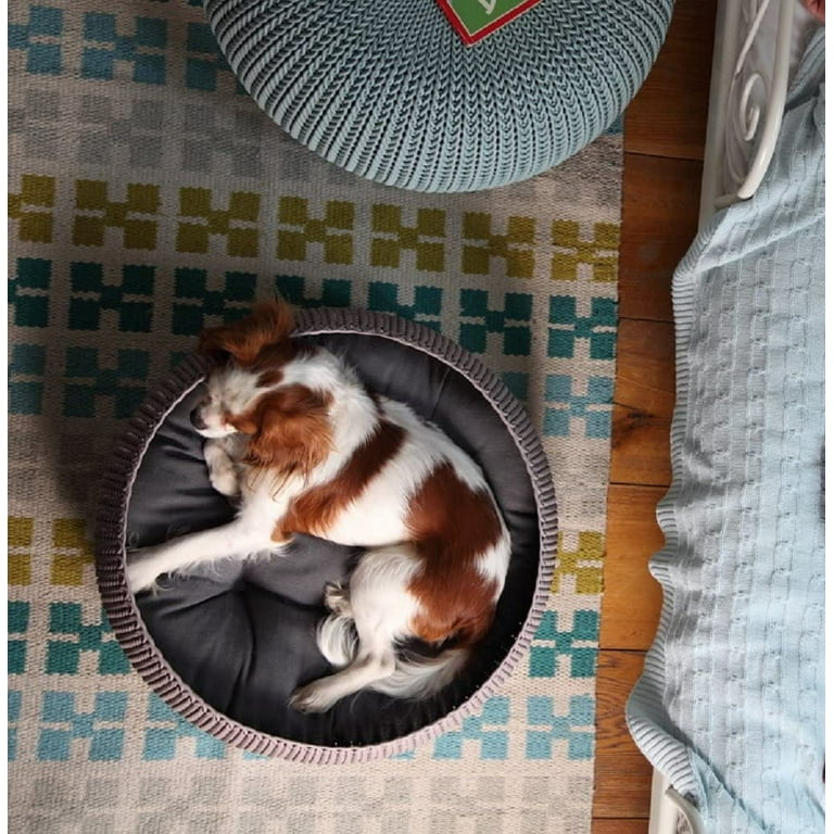 Keter by Curver Knit Cozy Resin Plastic Pet Bed Cat Bed Dog Bed with Cushion Small Dogs to Medium Cats Sandy Beige
