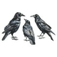 thumbnail image 2 of LADIGASU Crow Dormitorio Sala de Estar Casa Arreglo Pared Liquidación 1X Adhesivo Mural, 2 of 6