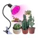 thumbnail image 1 of Luz LED para plantas de espectro completo Luz para plantas de espectro completo 10w E27 Sincero Electrónica, 1 of 5