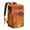 Cactus Desert (26)-new_19, variant on Cooler Backpack Insulated Backpack Cooler for Men & Women,Cactus Desert Drink Beverage Beer Bag Cooler for Road Trips