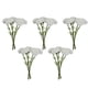 thumbnail image 5 of Crisantemo artificial Blanco, 5pcs, 5 of 6