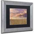 thumbnail image 2 of Trademark Fine Art "Beachgrass Sunrise" Canvas Art by Michael Blanchette Photography Black Matte, Silver Frame, 2 of 4