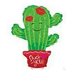 VAL22 STUCK U CACTUS