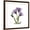Brown Frame, variant on Art.com Purple Gentian Square Stretched Canvas Print Wall Art by Albert Koetsier, 30" x 30"