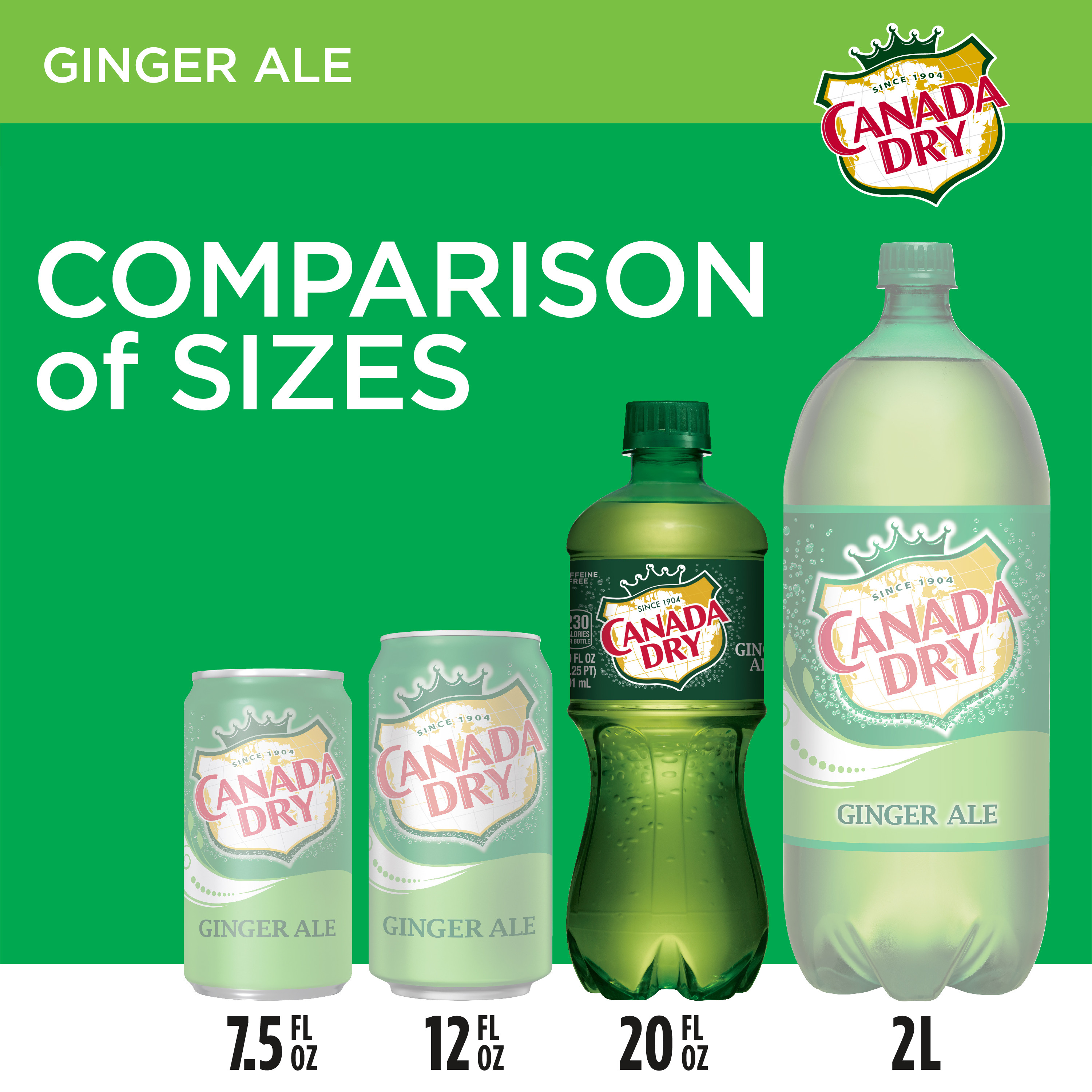 Canada Dry Caffeine Free Ginger Ale Soda Pop, 20 fl oz, Bottle - image 3 of 11
