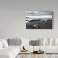 thumbnail image 3 of Trademark Fine Art 'Black Sand Honu' Canvas Art by Chris Moyer, 3 of 3