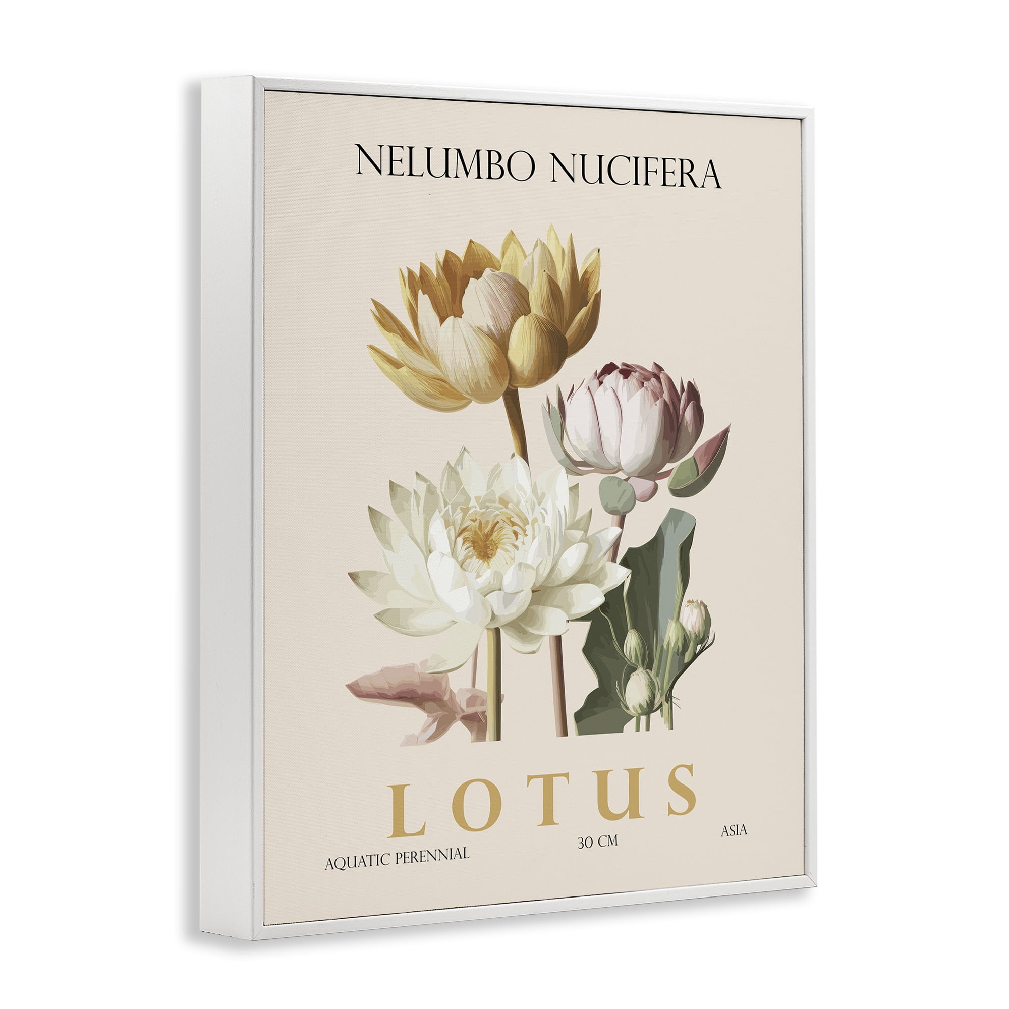 Stupell Industries Natural Lotus Bundle White Framed Giclee Art, design by Christopher Giampietro