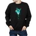 thumbnail image 3 of Harry Potter Boys Patronus Mist Stag Sweatshirt, 3 of 8