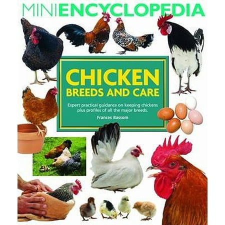 Chicken Breeds and Care : Expert Practical Guidance on Keeping Chickens Plus Profiles of All the Major Breeds. Frances (Best Chicken Breeds For Florida)