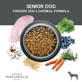 thumbnail image 5 of Combo Diamond Naturals Senior Dogs Chicken 15.87 Kg MAS Dos Latas Royal Canin Adulto 385 gr, 5 of 5