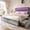 Gray, variant on EnHomee Upholstered Bed Frame with 4 Storage Drawers Queen Size Bed Frame with LED Light,Beige