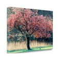 thumbnail image 2 of "Me And My Tree" By Lars Van De Goor, Fine Art Giclee Print on Gallery Wrap Canvas, Ready to Hang, 2 of 2