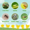 thumbnail image 4 of Miaoweii 30 Pack Fruit Fly Traps Fungus Gnat Traps, Yellow Sticky Traps Gnat Traps, Plant Sticky Traps for Bugs,Non-Toxic and Odorless for Indoor Outdoor Use Protect The Plant, 4 of 6