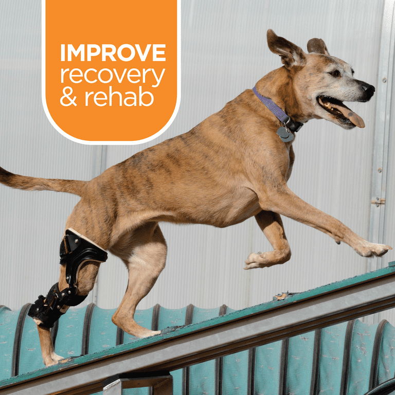 Muscle relaxer hotsell for dogs