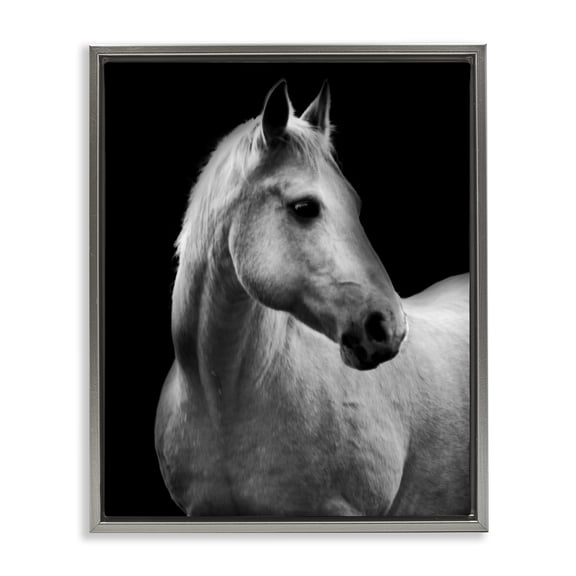 Stupell Industries Contemporary Horse on Black Portrait Gray Floating Frame Canvas Art, 25 x 31, by Danita Delimont