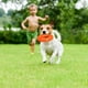 thumbnail image 5 of Verde + Naranja - Paquete de 2 juguetes masticables para perros, juguetes de goma duraderos para perros, juguetes para limpiar los dientes de perros grandes y medianos, 5 of 5