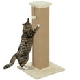 thumbnail image 1 of PawHut 32" Cat Scratching Post for Indoor Cats w/ Sisal Teasing Ball Beige, 1 of 10