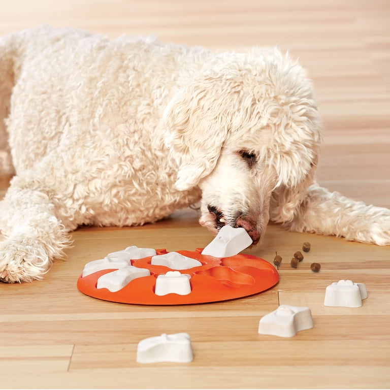 Interactive Treat Puzzle Toy for Dogs photo 8
