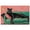 Gallery Wrapped, variant on Lounging Panther Canvas Fashion Art Felines by Art Remedy, Gallery Wrapped, 30 x 20