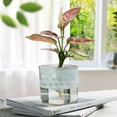 thumbnail image 4 of Btomtd Square Transparent Flowerpot with Automatic Water Absorption, Home Garden and Office Plant Pots, Balcony Tabletop Planter Accessory, Gray, 4 of 7