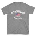 thumbnail image 1 of Carrollwood Florida Patriot Men's Cotton T-Shirt, 1 of 1
