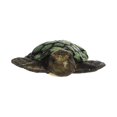 thumbnail image 1 of Aurora Stuffed Animals -Sea Turtle 12", 1 of 2