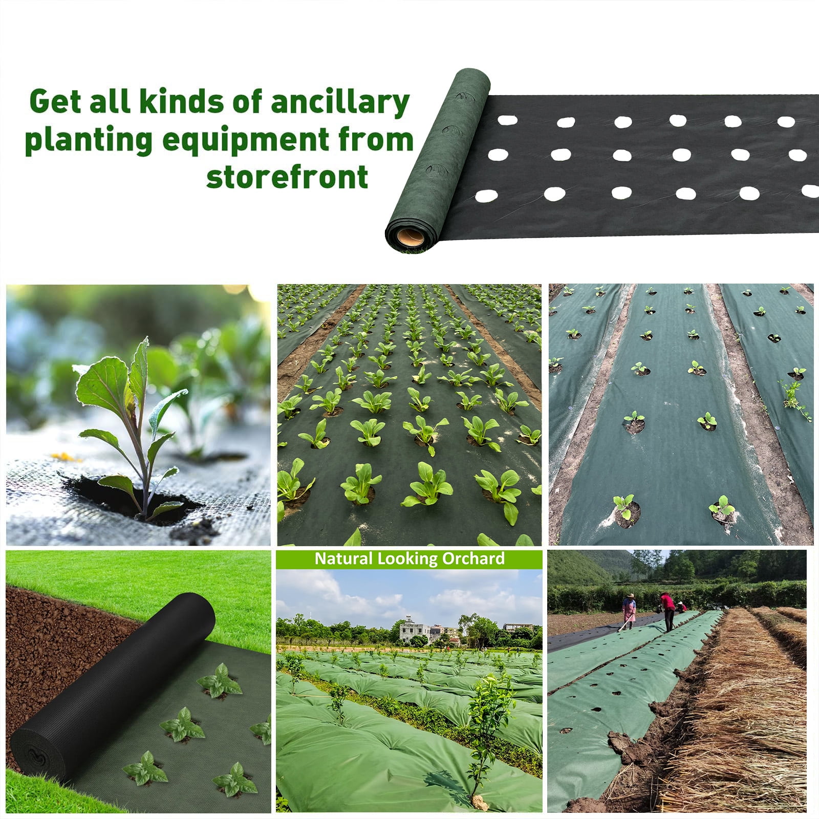 VividGarden Garden Weed Barrier Fabric Green Double-Layer PP Pre-Punched 3.15 inch Holes Breathable Water Permeable 1 Pack 20 ft x 3.28 ft