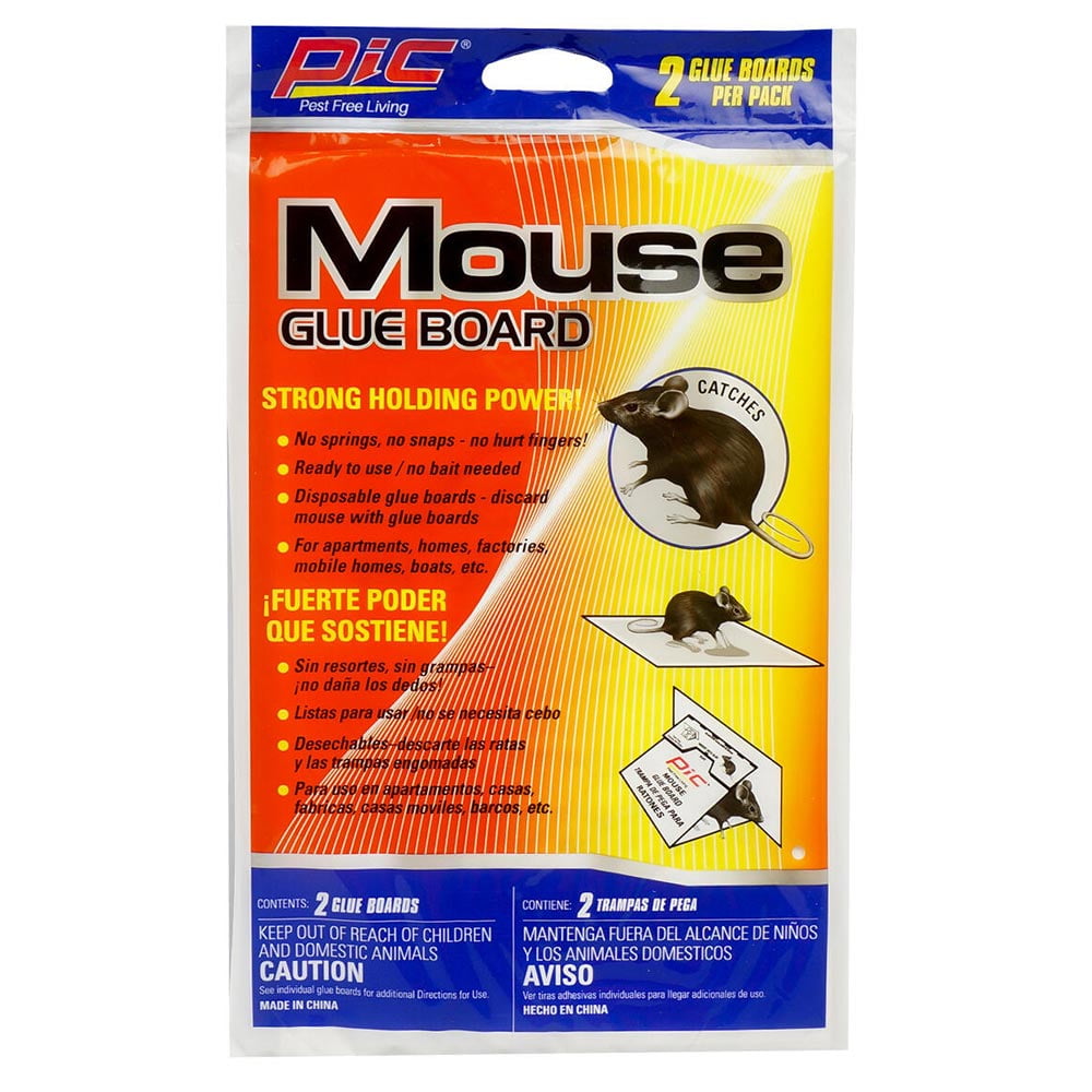 Mouse traps or glue boards? Which are better? - Envirocare Pest Control