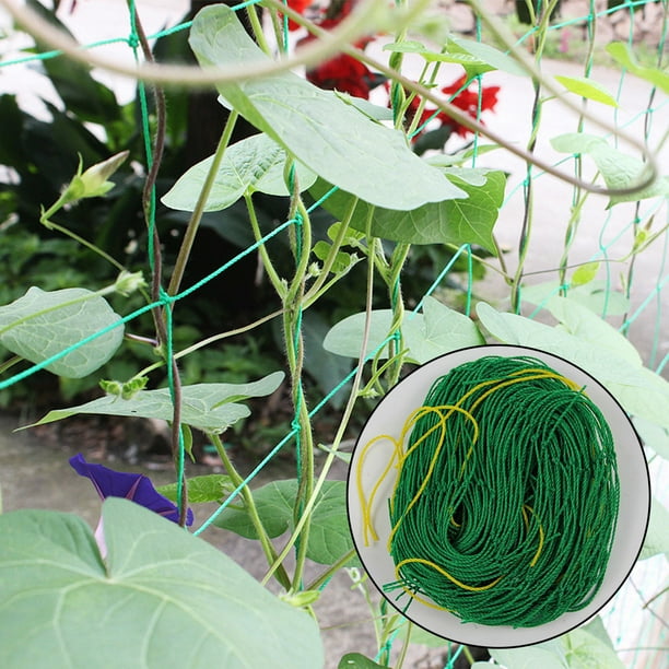 Melon Fruit Morning Glory Vine Net Flower Vine Cucumber Trellis Netting Plant Net Walmart Com Walmart Com