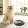 thumbnail image 6 of Organ Cat Scratch Board Cat Toy With Cat Scratch Toy, 6 of 7