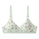 thumbnail image 1 of Sanrio Hello Kitty Ropa interior Kawaii Dibujos animados Chicas Sexy Sujetador Sin aros Push Up Ropa interior Mujer Deportes Sujetador a prueba de golpes Pantalones, 1 of 5
