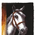 thumbnail image 5 of tredstone Carpet Latch Hooking Kits DIY Rug Crochet Yarn Kits for christmas Horse, 5 of 5