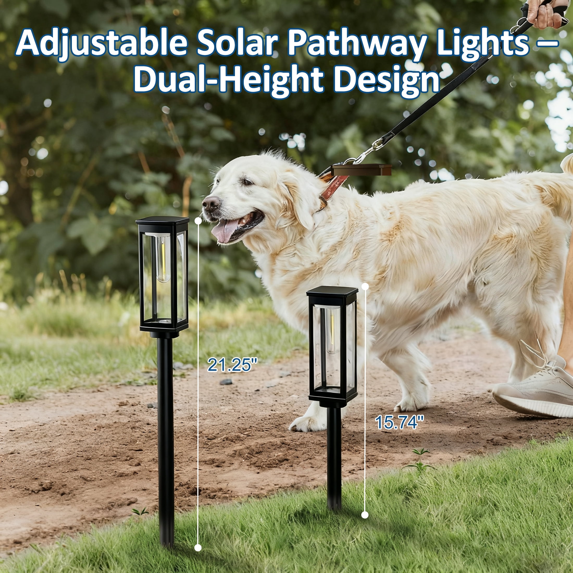 LOFTER-Pro Solar Pathway Lights Outdoor, 6 Pack Solar Landscape Lights, IP54 Waterproof LED Garden Lights, Auto On/Off Solar Powered Yard Lights for Lawn, Patio, Walkway, Driveway