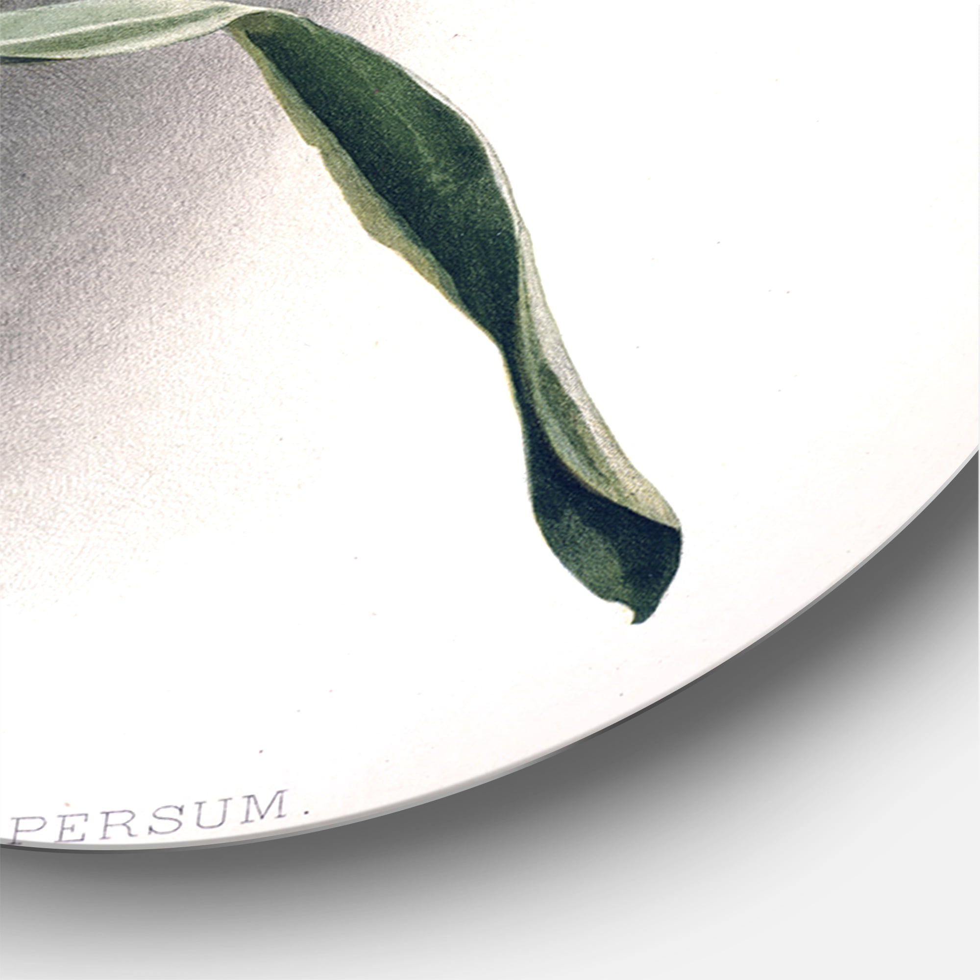 Designart 'Ancient Orchid Flower' Traditional Circle Metal Wall Art 11x11 - Disc of 11