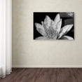 thumbnail image 3 of Trademark Fine Art "Water Lily in Black and White" Canvas Art by Kurt Shaffer, 3 of 3