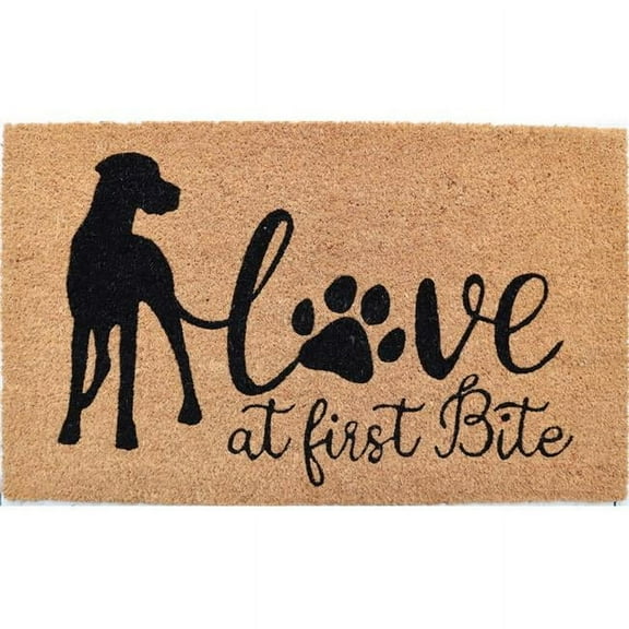 HomeRoots 572255 18 x 30 in. Beige & Black Coir Dog Outdoor Door Mat