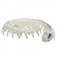 thumbnail image 5 of Halloween Decorations Animal Skeleton & Skull Realistic Bones Scary Party Props-Rat, 5 of 6