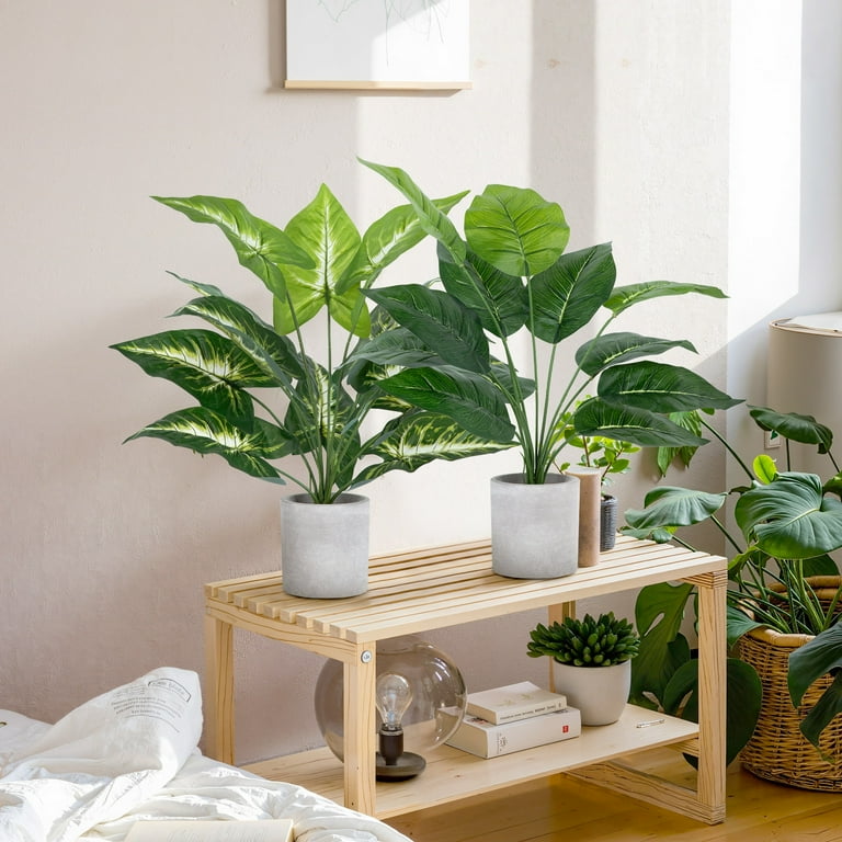 Scidweet 2 Pack Fake Plants, Artificial Tropical Small Pot Plants Indoor  Office Table Kitchen Bathroom Home Decor
