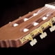 thumbnail image 5 of 3+3 CLAVIJAS DE AFINACIÓN DE CUERDAS DE GUITARRA CLÁSICA ACRÍLICA DORADAS PARA GUITARRAS CLÁSICAS, 5 of 7