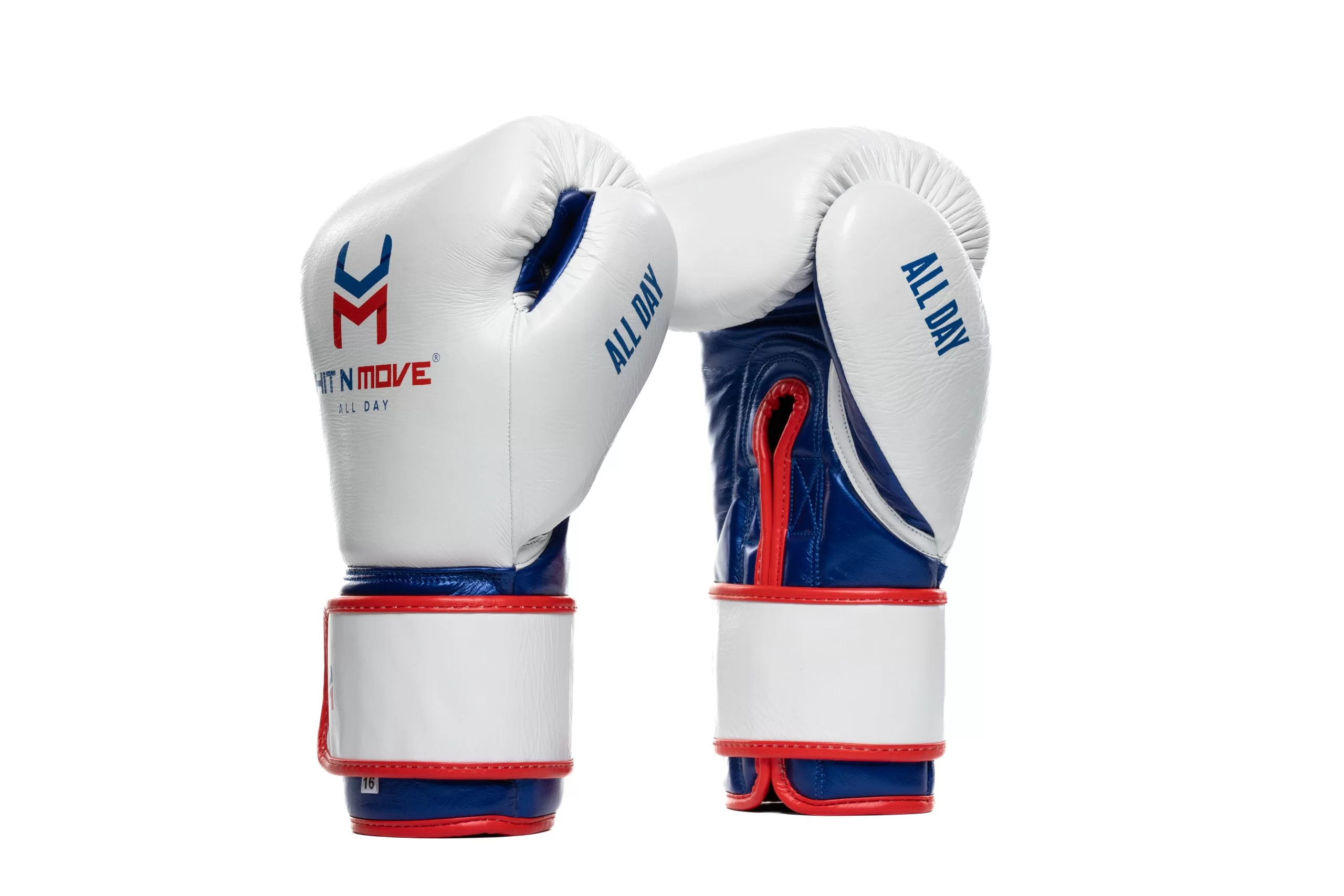 Hit N Move Boxing Gloves All Day Pro Balance Hook and Loop