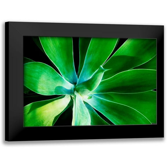 Nawrocke, Bruce 14x11 Black Modern Framed Museum Art Print Titled - Green Intrigue