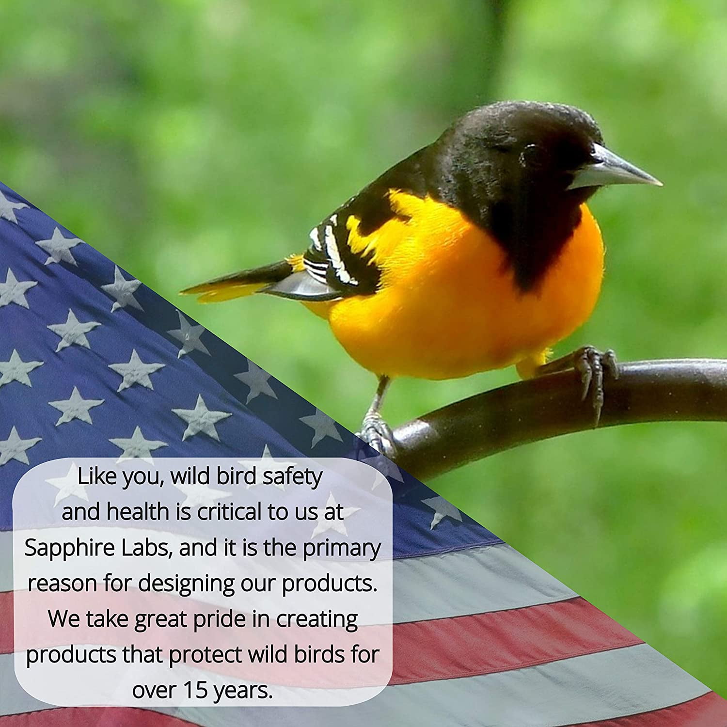 Nectar Defender - Hummingbird Nectar Extender | Prolongs the Life of Nectar Naturally