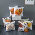 thumbnail image 5 of SZTXJ 4 Piece Pillowcases Peach Skin Velvet Happy Thanksgiving,Autumn Harvest Pumpkin PillowcasePillowcase 45x45cm Style 4, 5 of 5